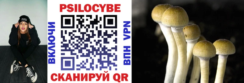 Псилоцибиновые грибы Psilocybine cubensis  Купить закладки  Островной 